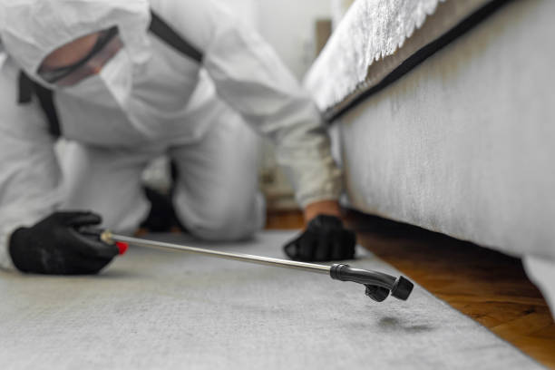 Professional Ant Control technician working in Bayonne, NJ