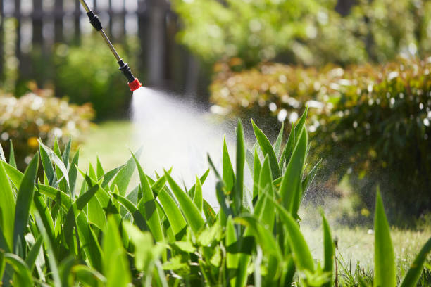 24/7 Emergency Ant Control experts in Bayonne, NJ
