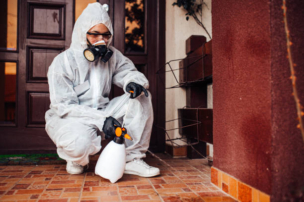 Reliable Ant Control contractor in Bayonne, NJ by Show Me Pest Control